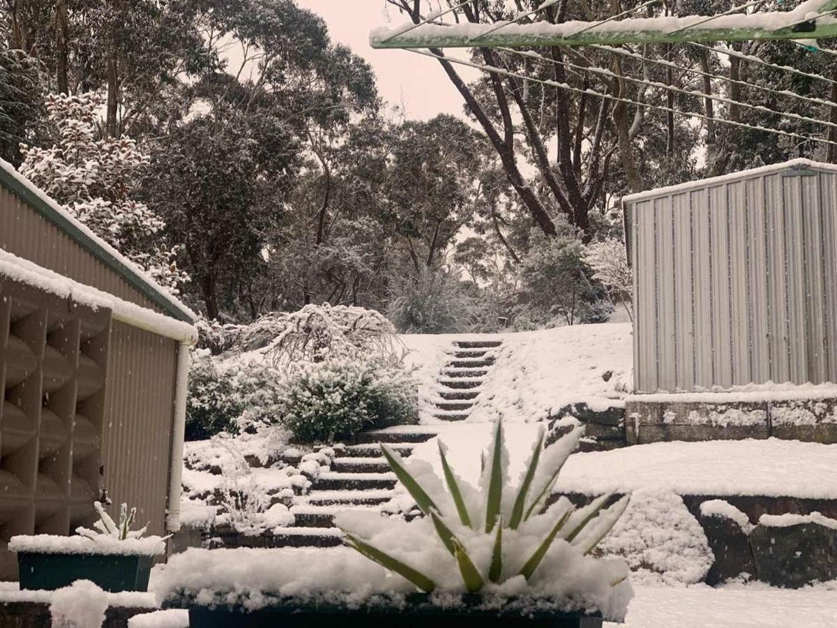 Sunflower Cottage Katoomba Exterior foto